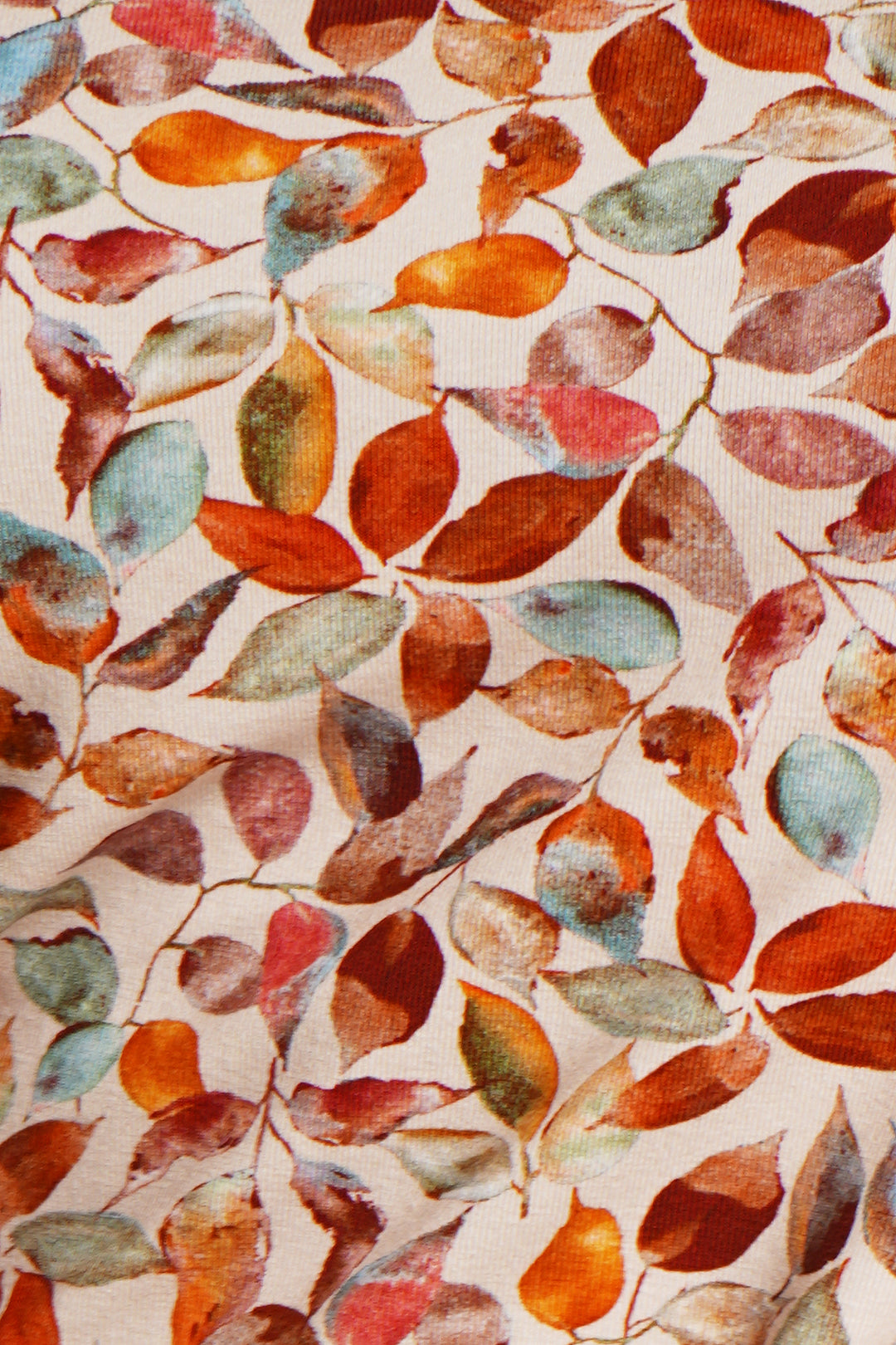 A close up of the Autumn leafy colours.