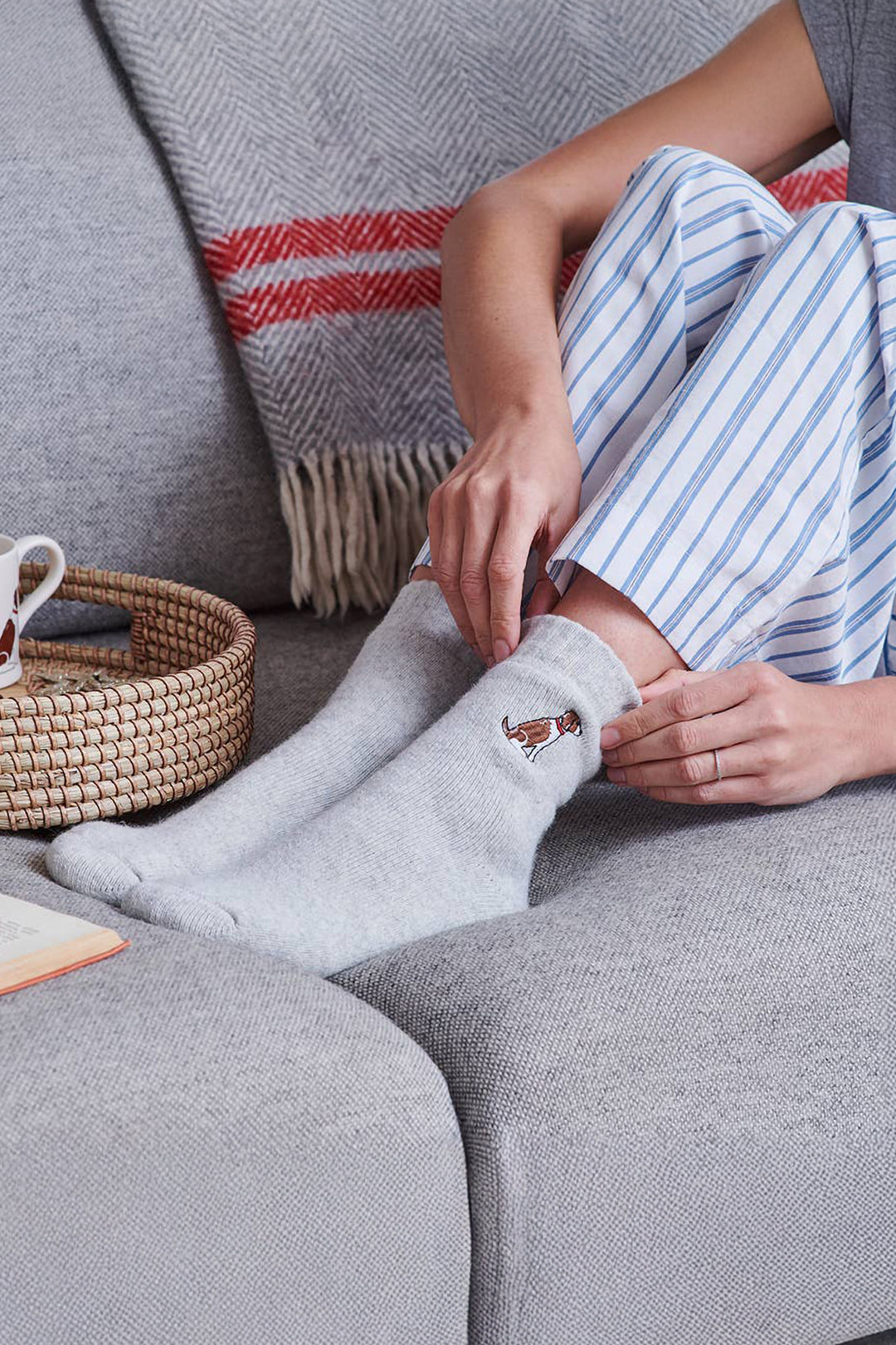 Springer Spaniel Socks