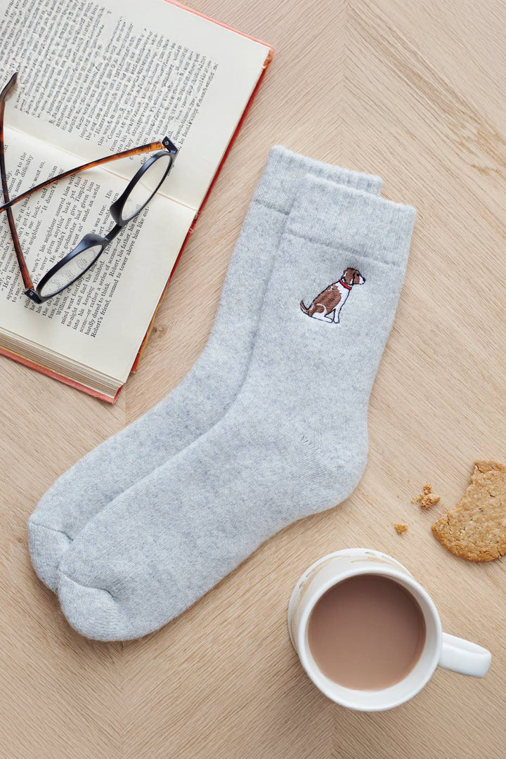 Springer Spaniel Socks