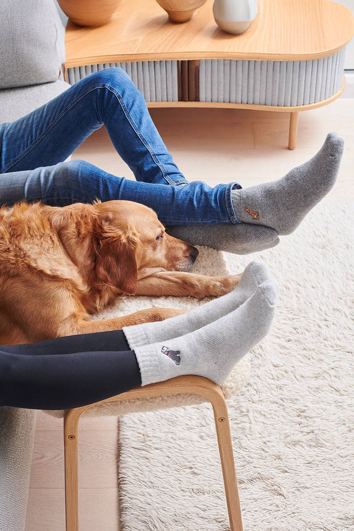 Black Labrador Socks