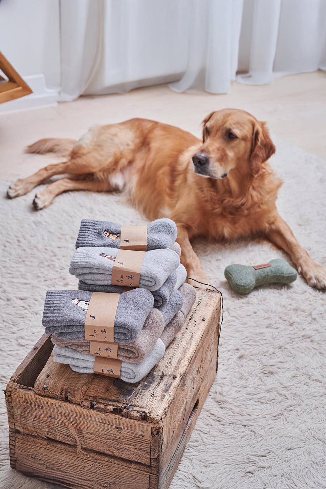 Black Labrador Socks