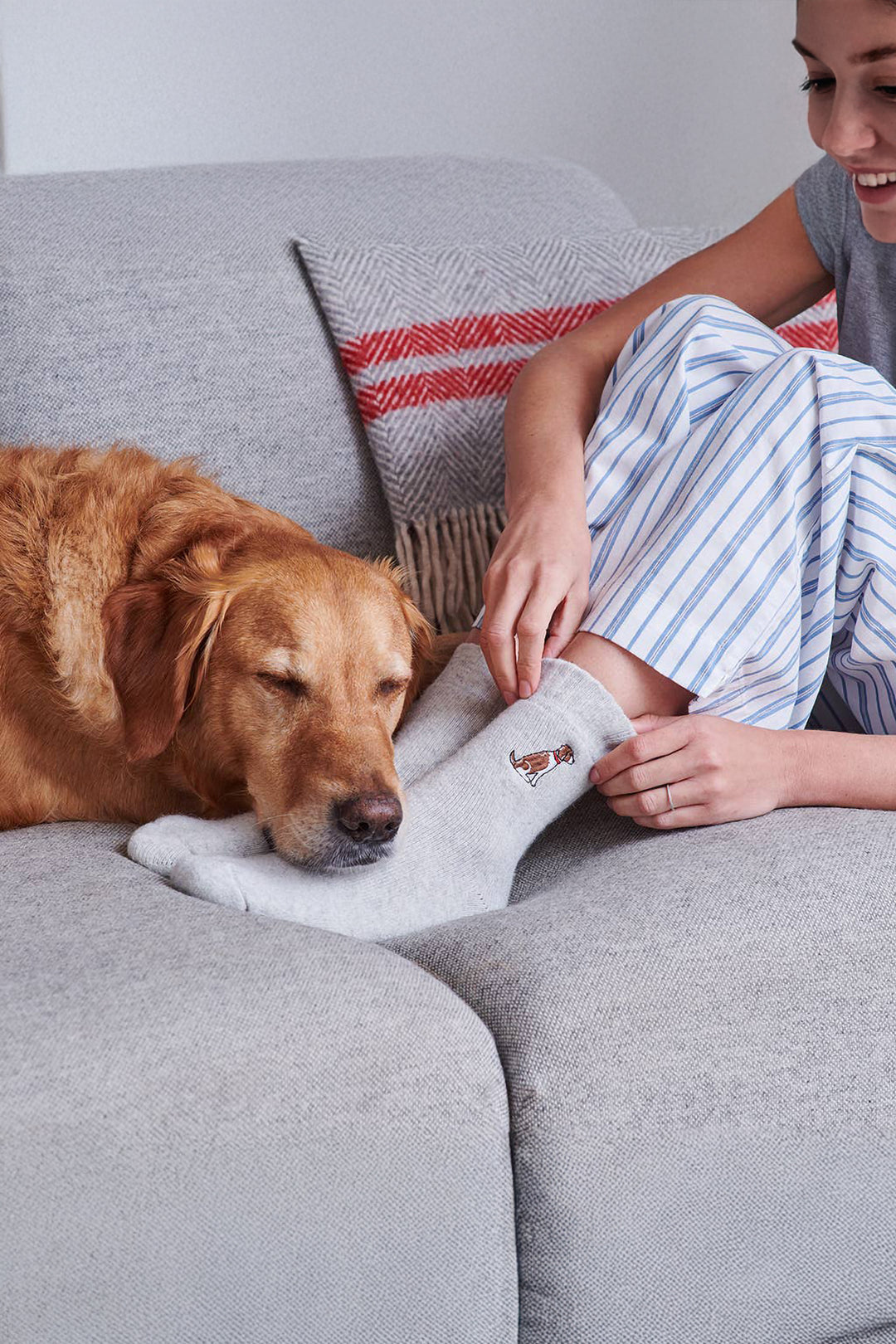 Springer Spaniel Socks